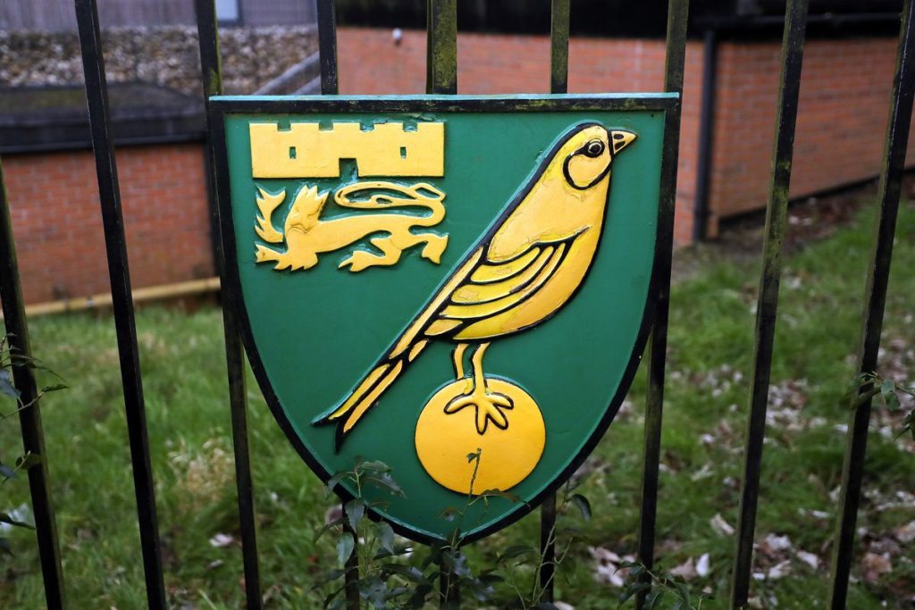 Norwich sports director: “It ought to be settled on the field”  
