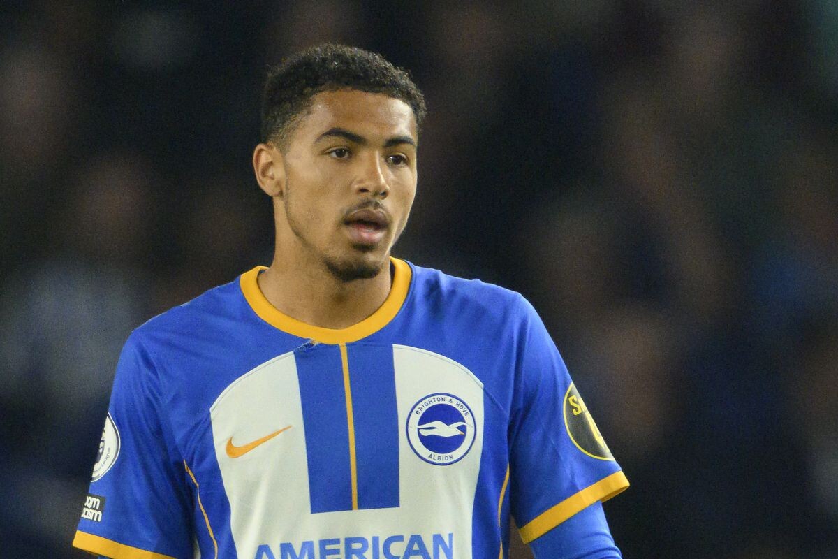 Brighton and Hove Albion offers new bid for Levi Colwill